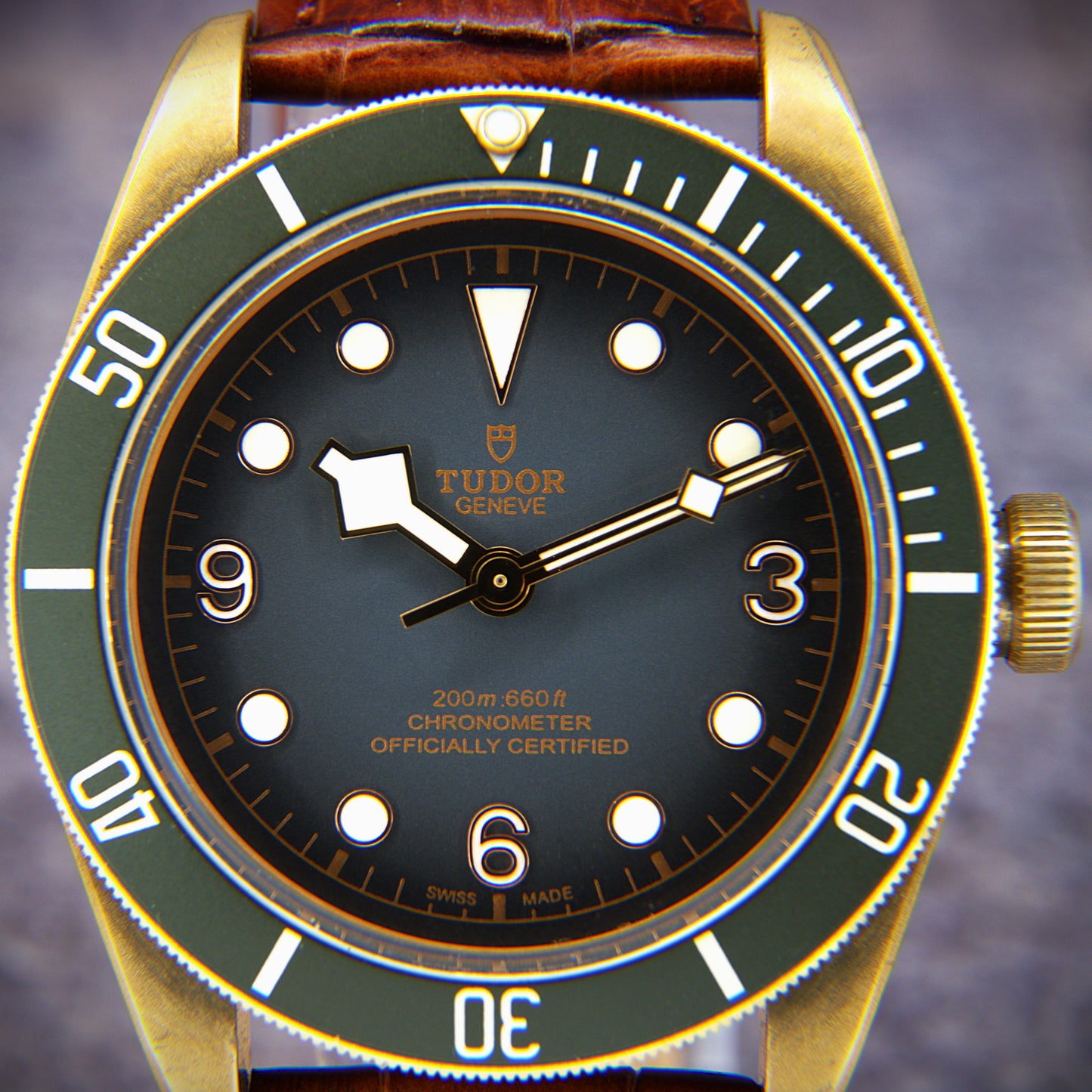 Tudor Black Bay Heritage Bronze 79250BA