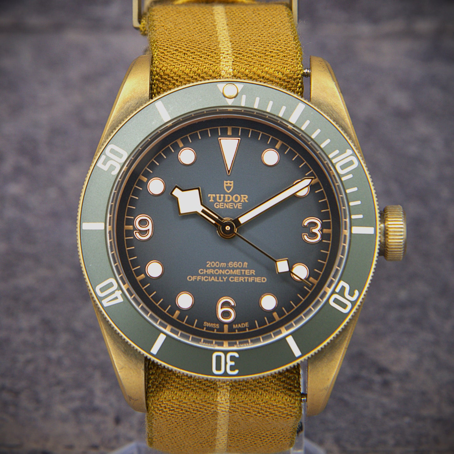 Tudor Black Bay Heritage Bronze 79250BA